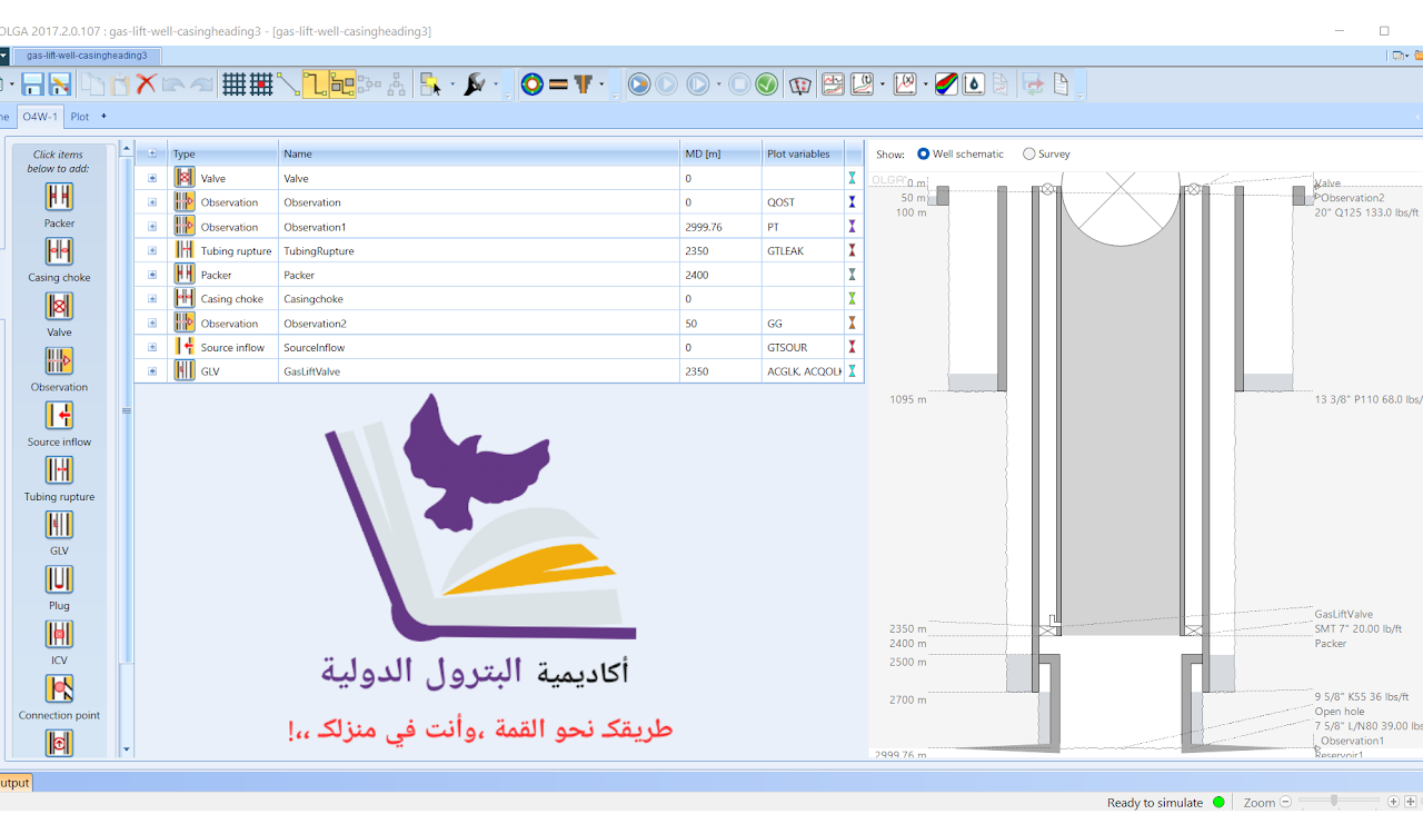 أكاديمية البترول الدولية