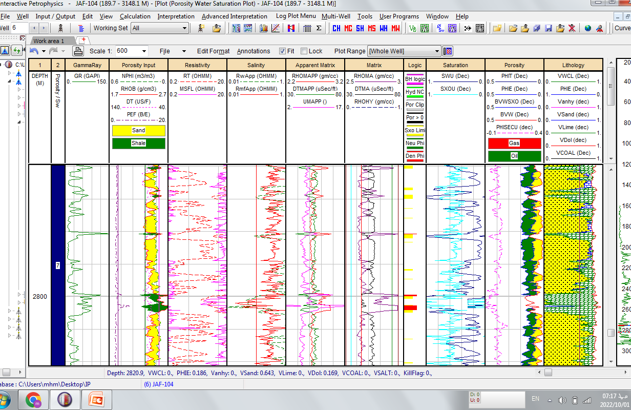 أكاديمية البترول الدولية - دورة تدريب Interactive Petrophysics